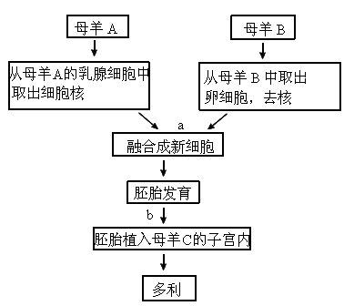 发酵技术在生活与商业中的应用探析