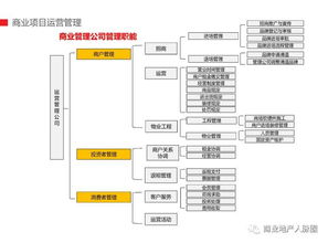 商管公司 完整组织架构,前期工作流程表,总经理工作手册 分享版